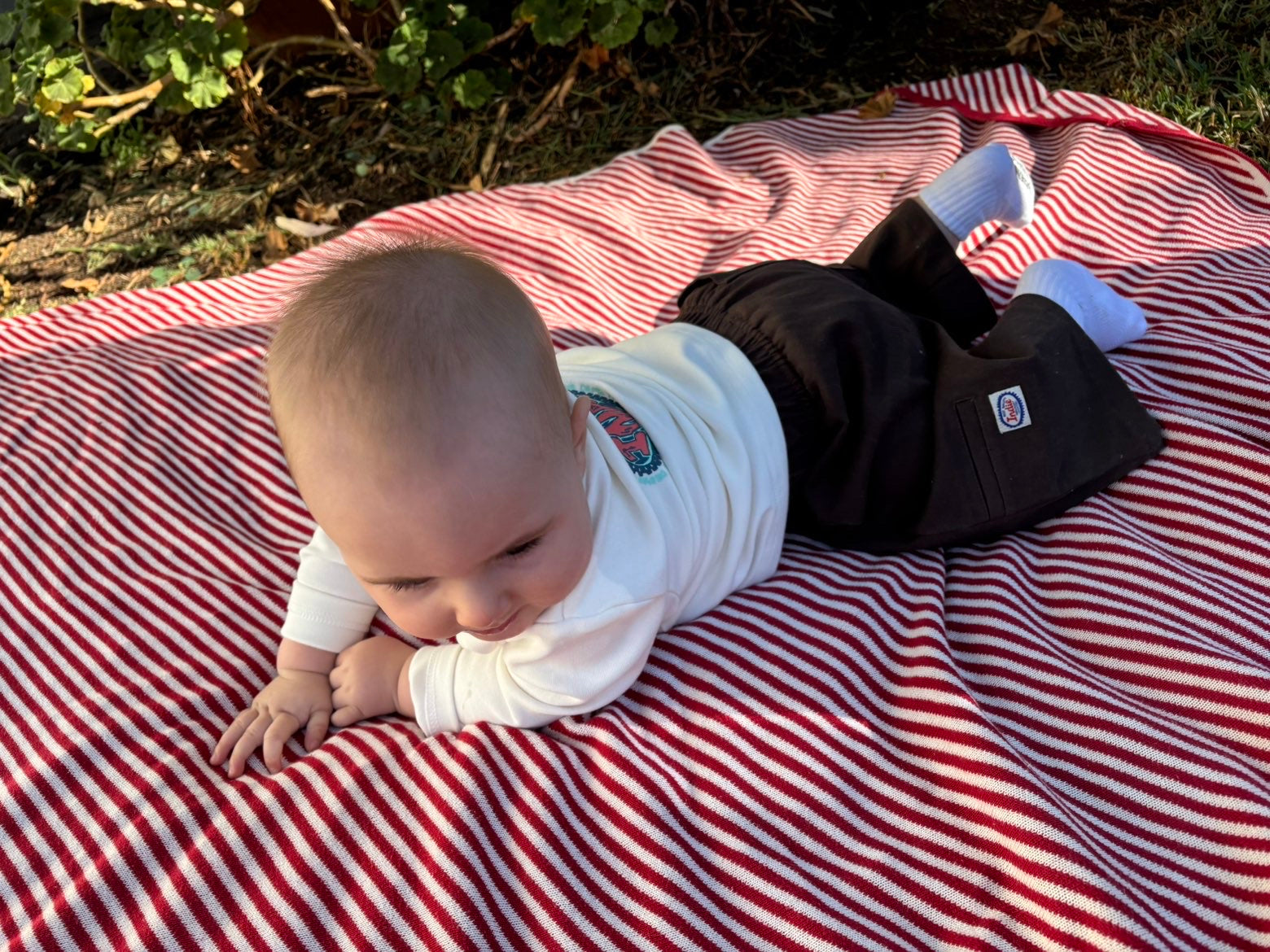 Indie The Livingston LS Tee