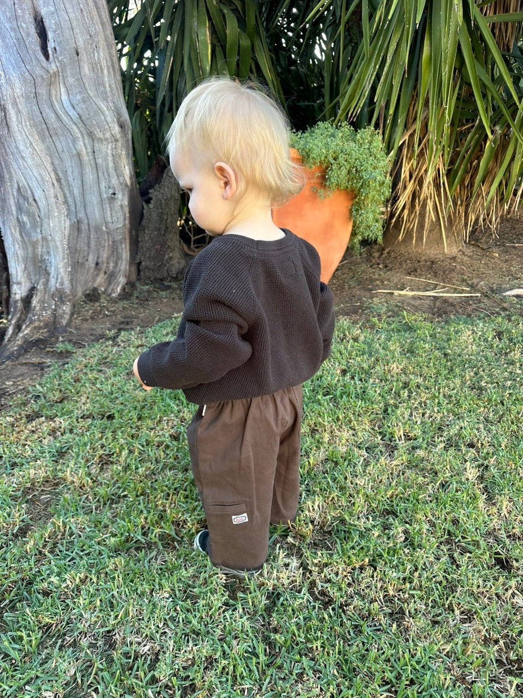 Indie The Summer Raglan Knit