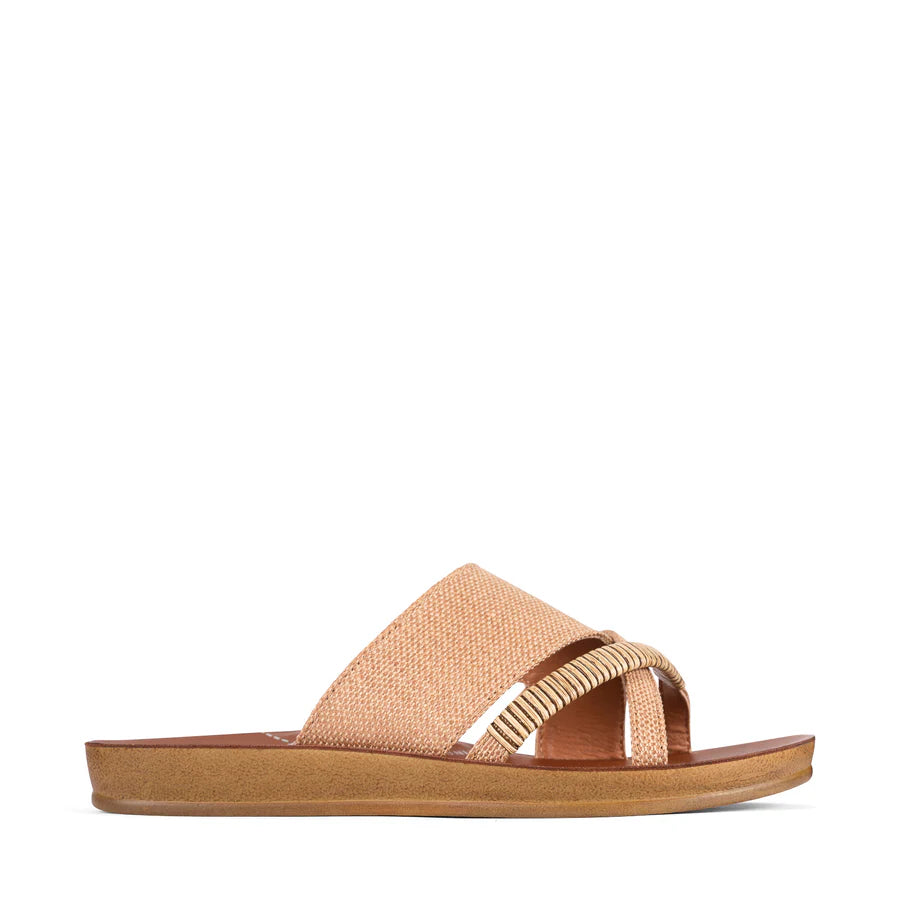 Los Cabos Bride Slide