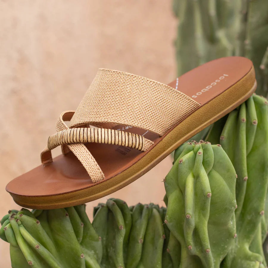 Los Cabos Bride Slide