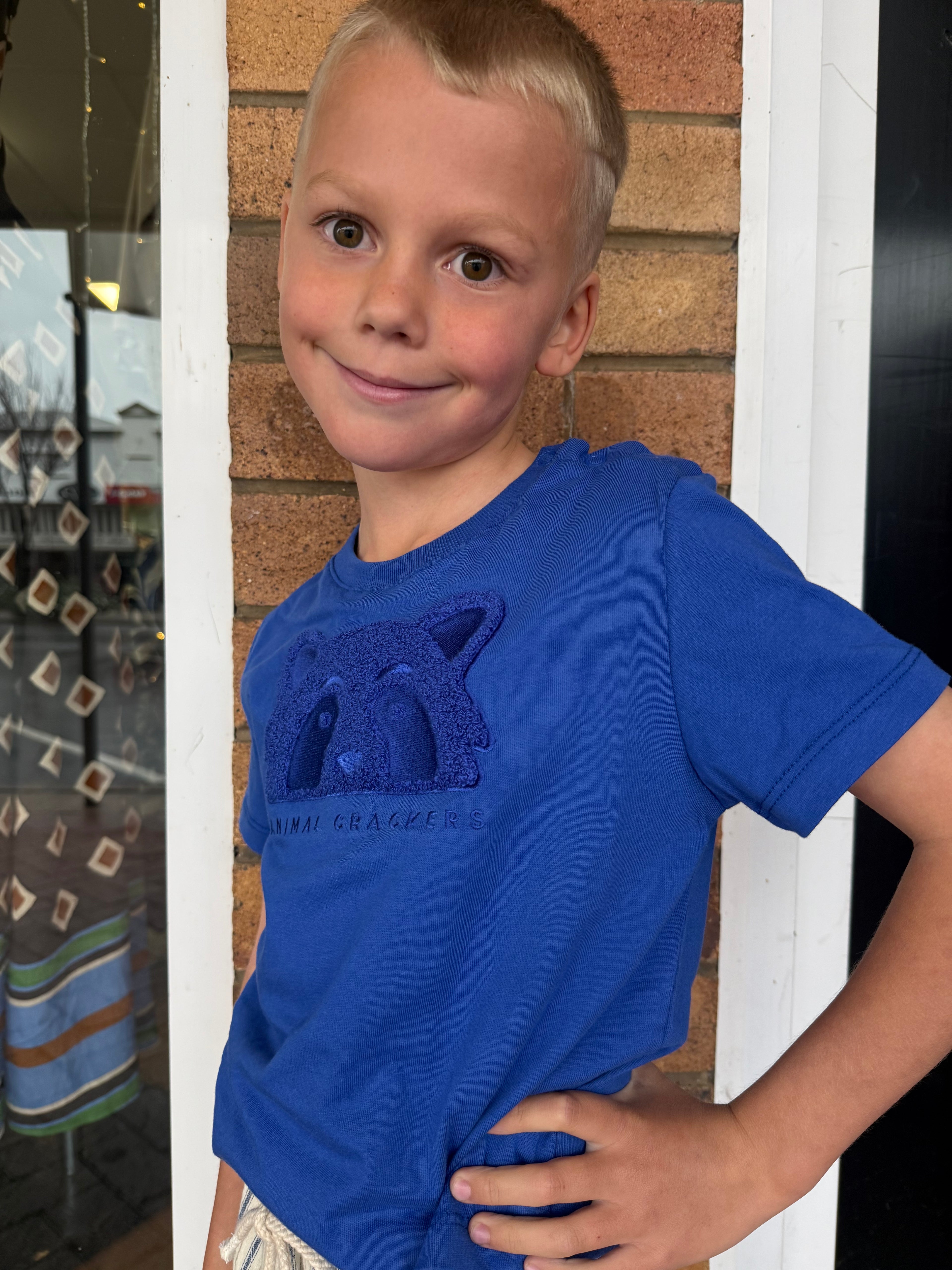 Animal Crackers Summer Raffi Tee