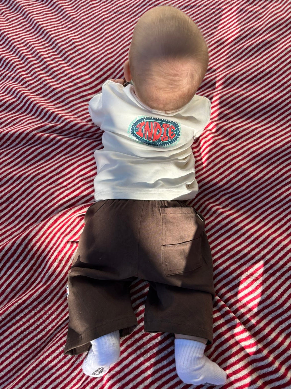 Indie The Brooklyn Easy Chino