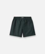Indie kids The All Day Swim Trunk