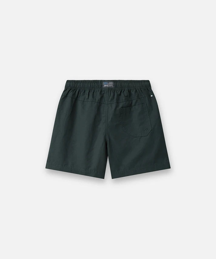 Indie kids The All Day Swim Trunk