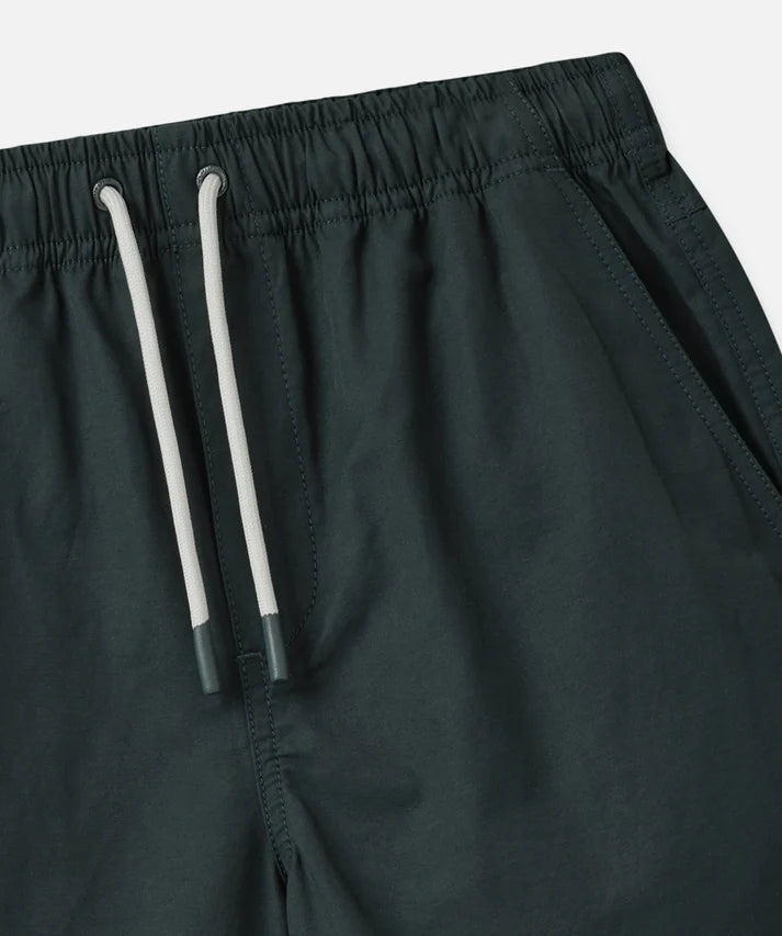 Indie kids The All Day Swim Trunk