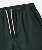 Indie kids The All Day Swim Trunk