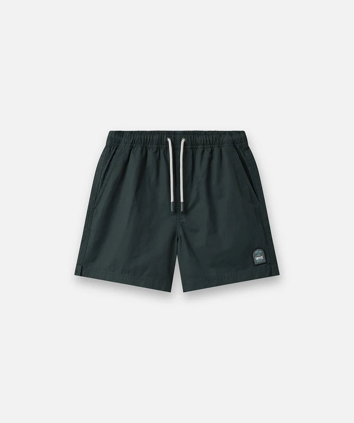 Indie kids The All Day Swim Trunk