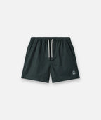 Indie kids The All Day Swim Trunk