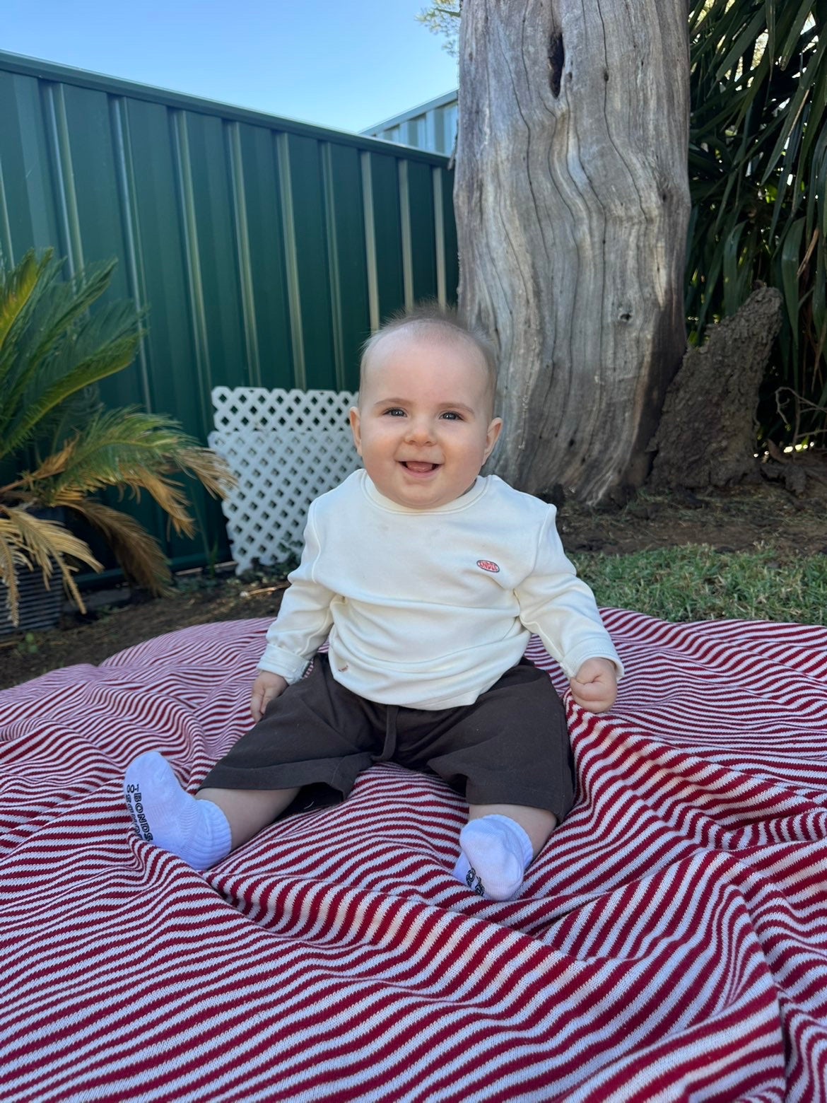 Indie The Livingston LS Tee