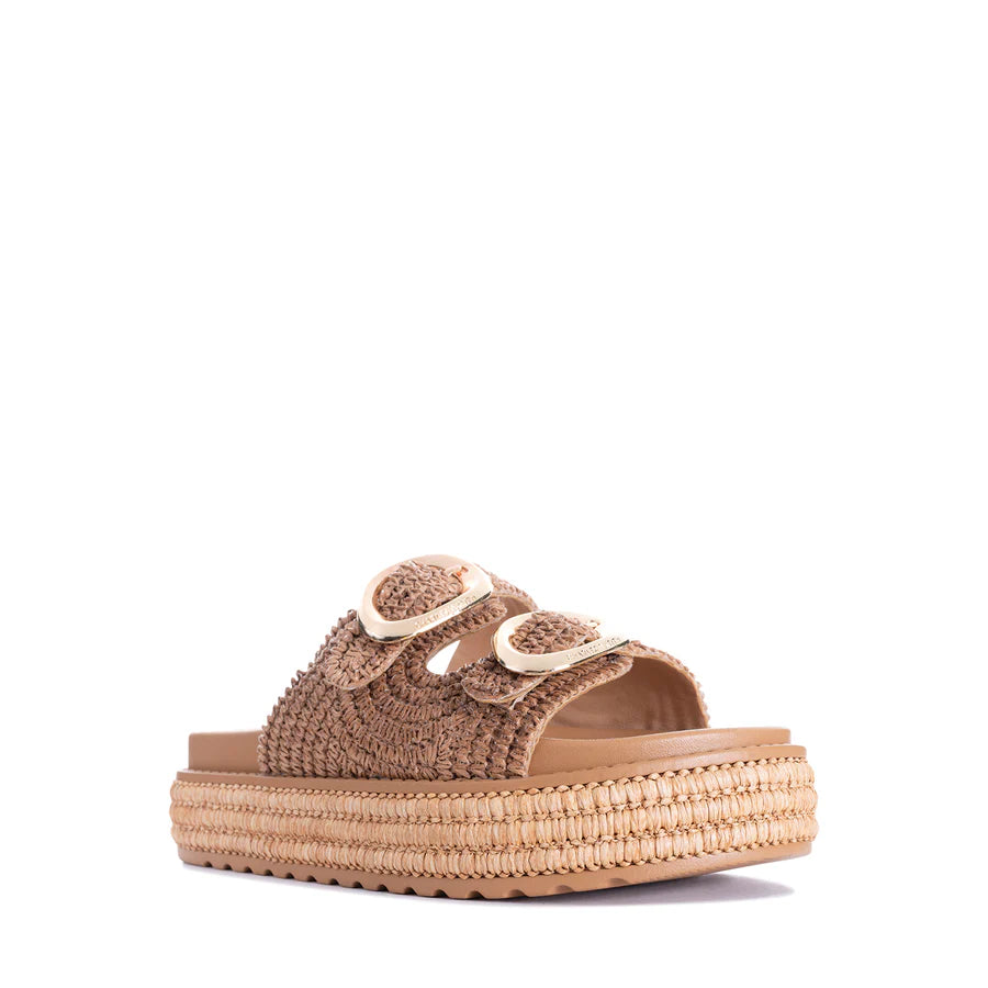 Los Cabos Ferrito Slides