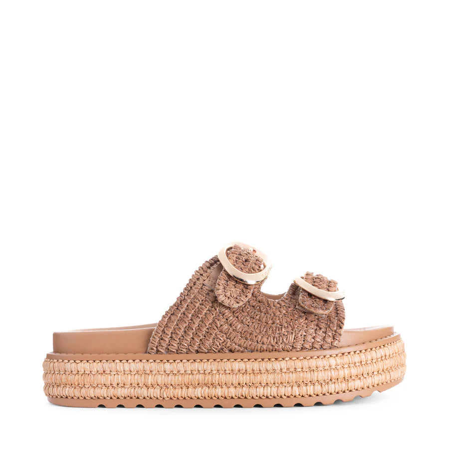 Los Cabos Ferrito Slides