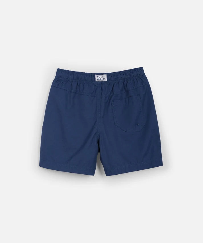Indie kids The All Day Swim Trunk